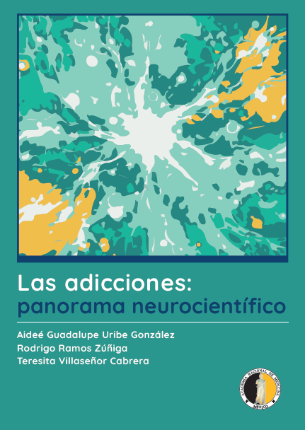 Descripción de la imagen 1