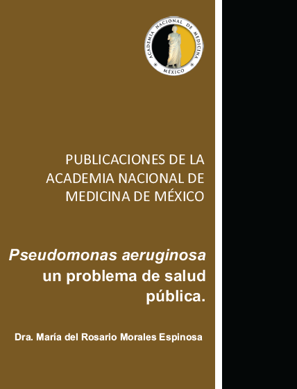 Descripción de la imagen 1